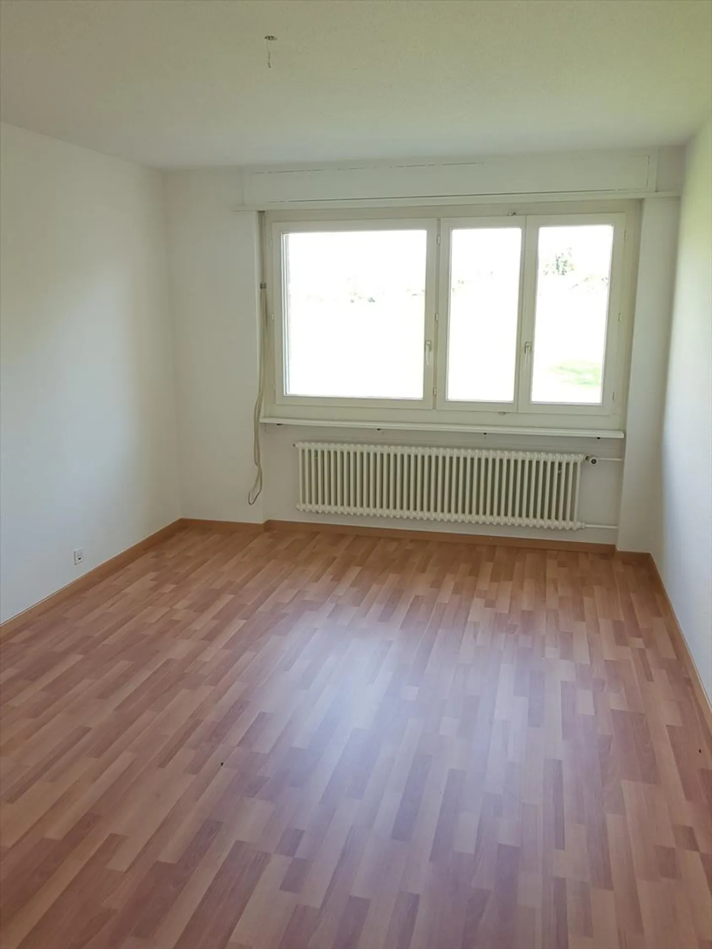 Direct hit! - Photo 5 of 10