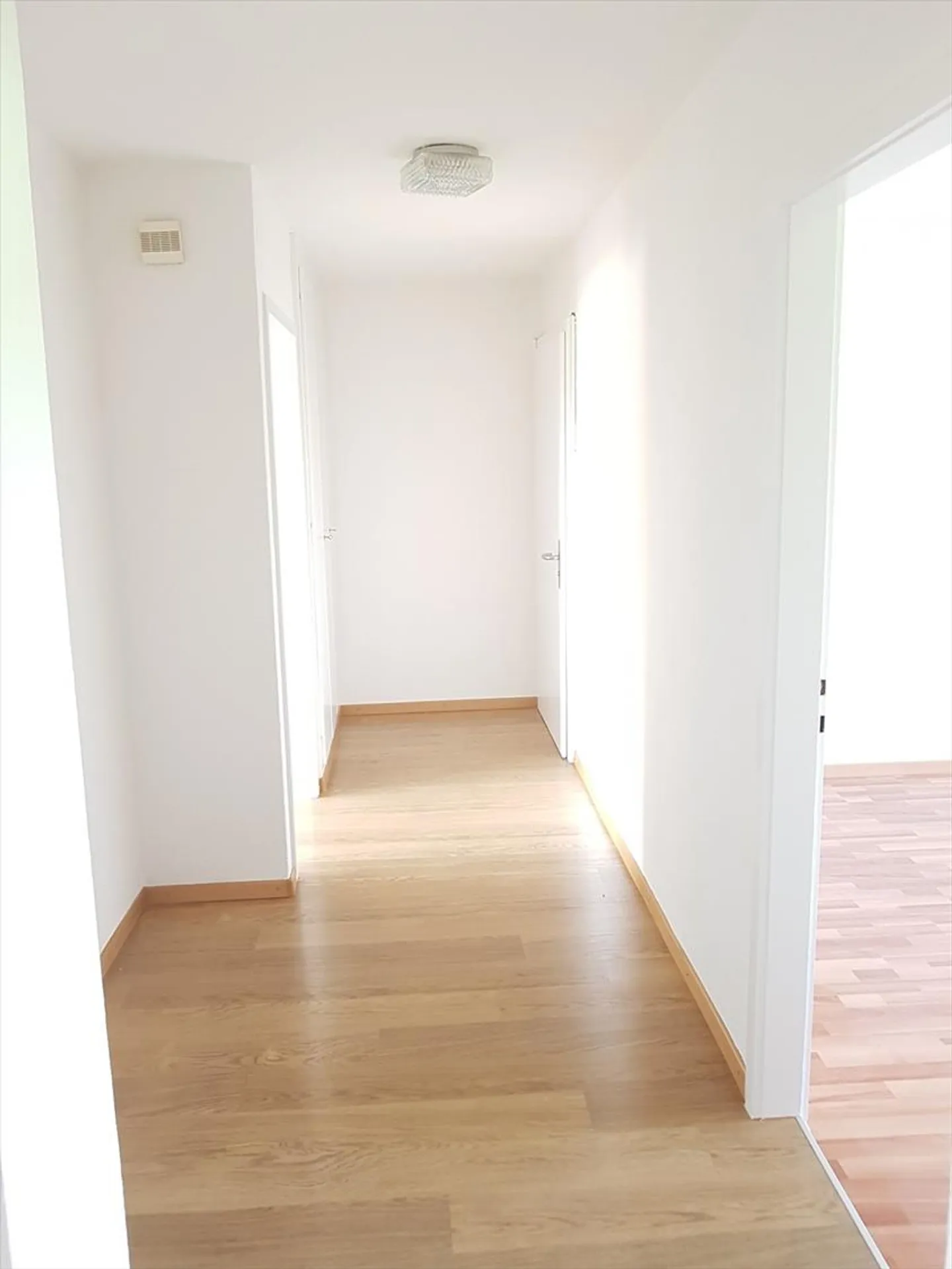 Direct hit! - Photo 7 of 10