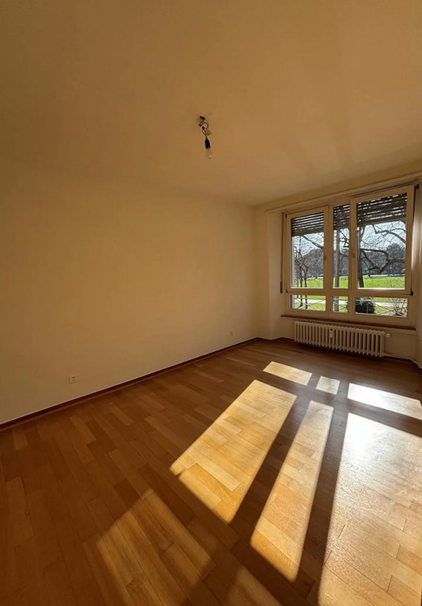 Charming Apartment near Schützenmattpark - Photo 3 of 9