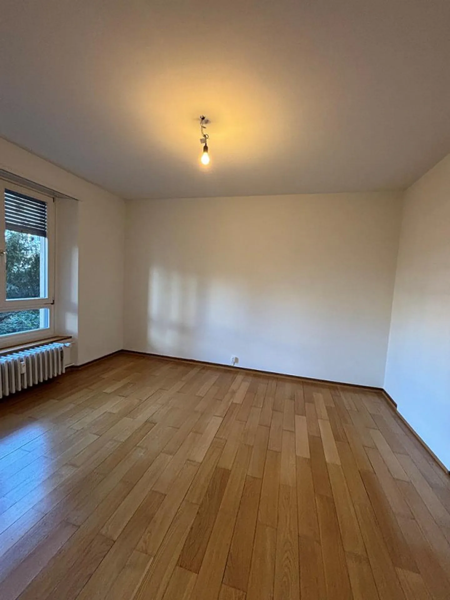 Charming Apartment near Schützenmattpark - Photo 6 of 9