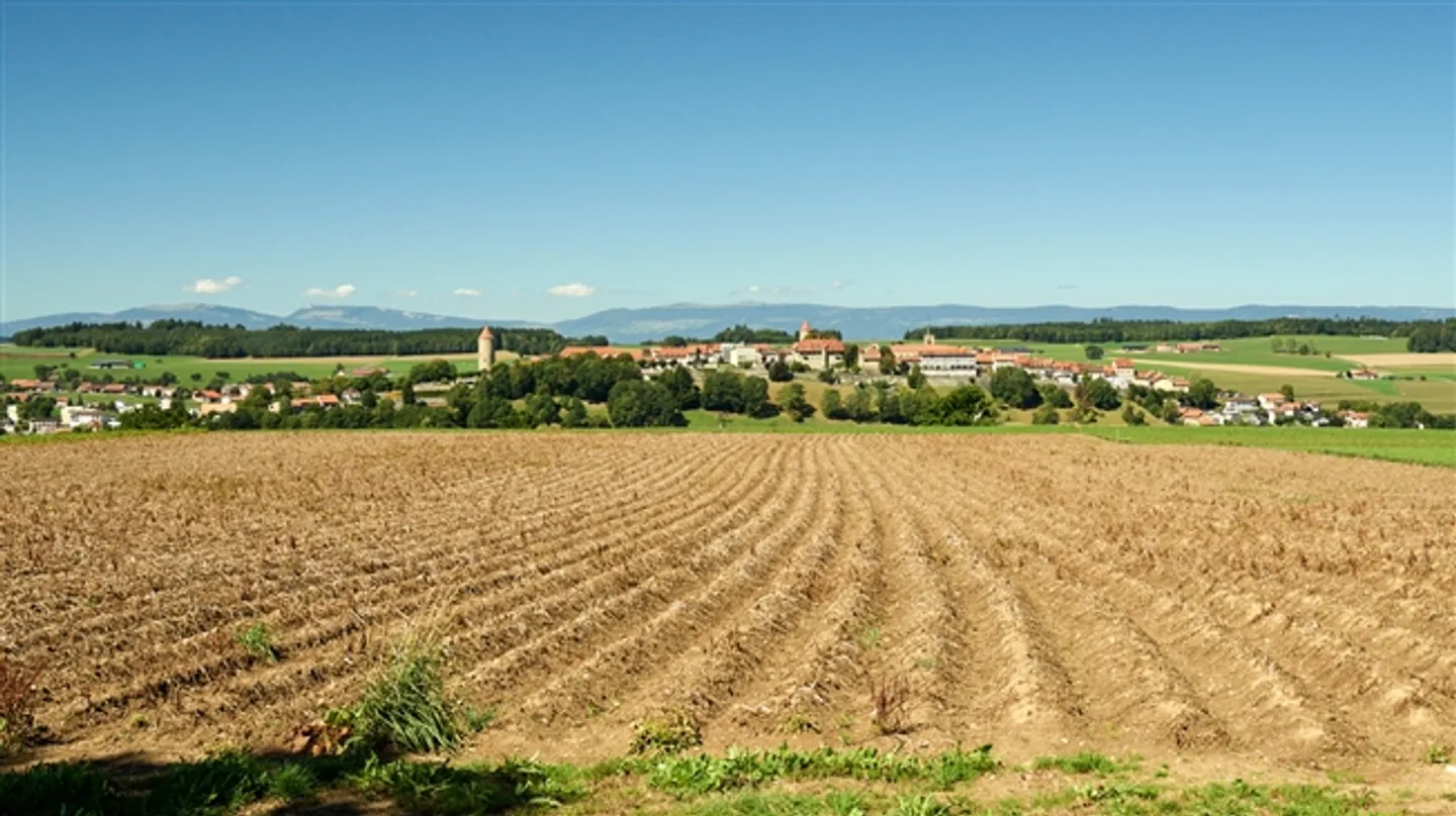 Detached farmhouse with outbuildings. Great land and huge potential. - Photo 2 of 7