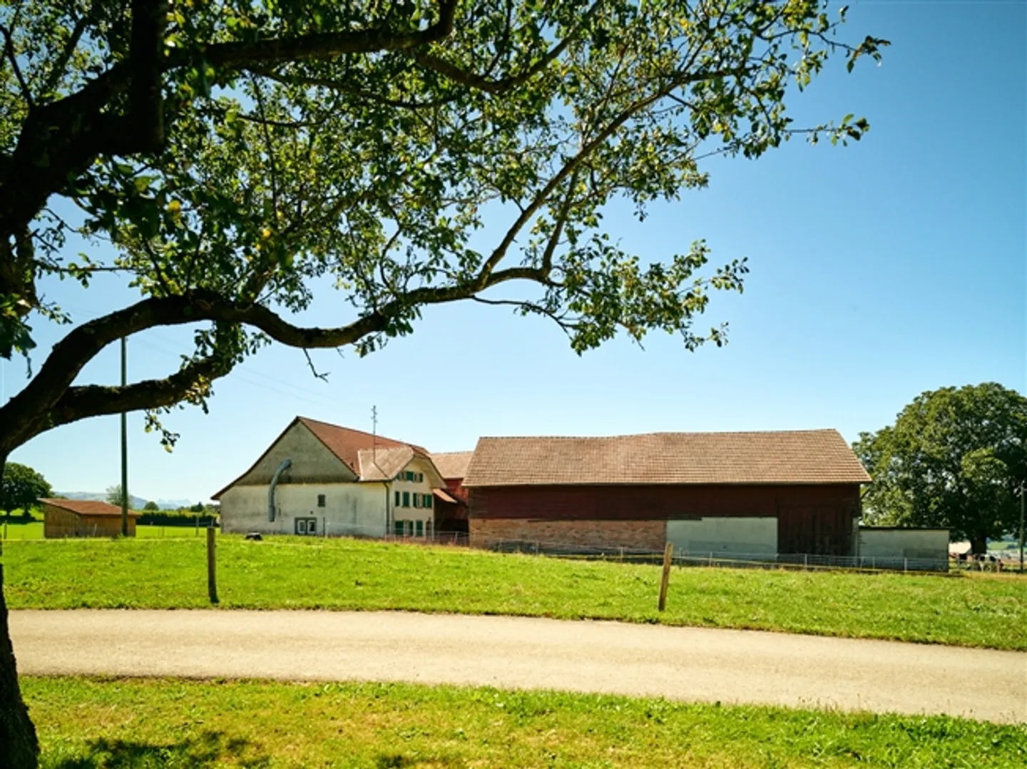 Detached farmhouse with outbuildings. Great land and huge potential. - Photo 6 of 7