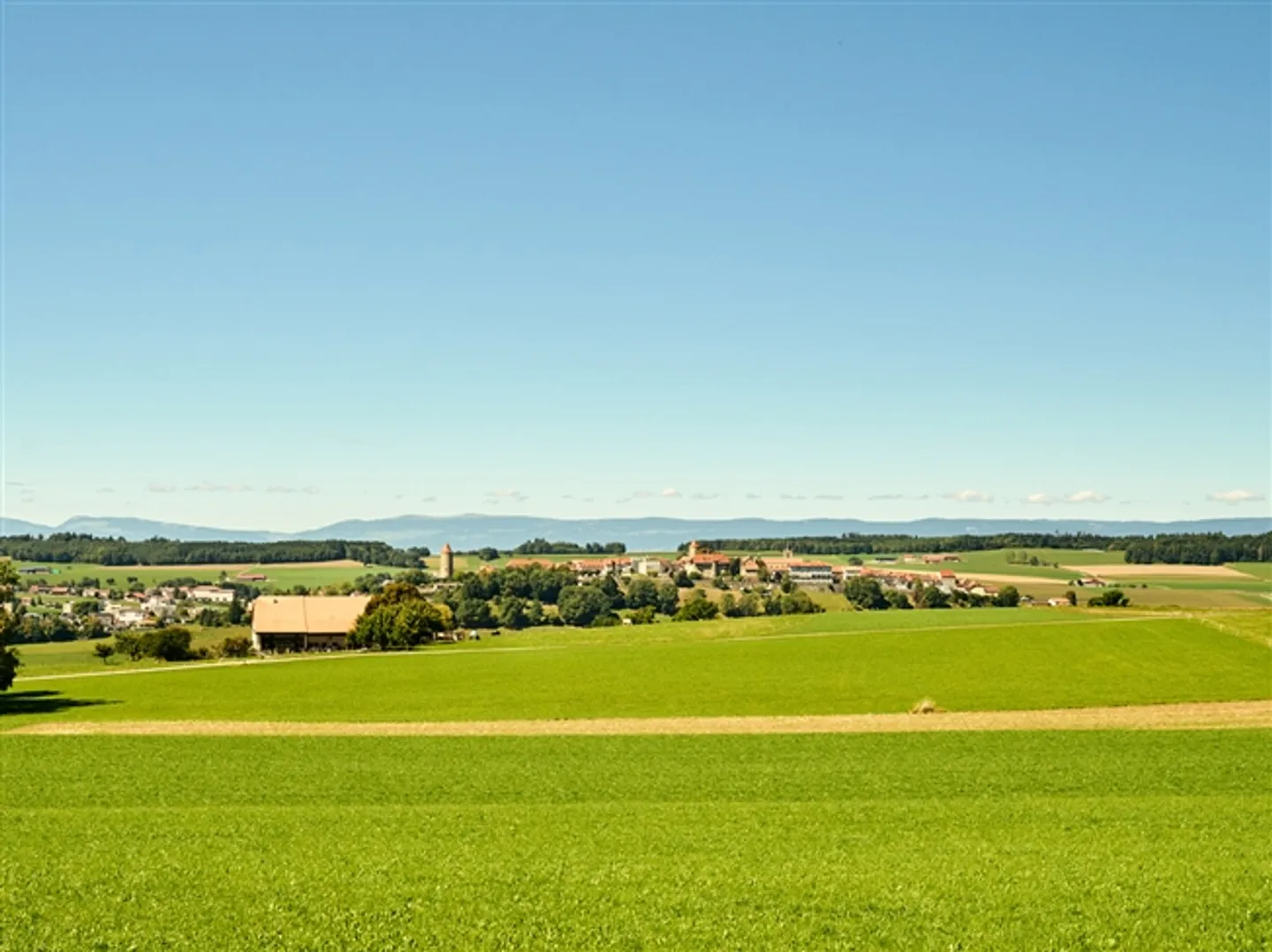 Detached farmhouse with outbuildings. Great land and huge potential. - Photo 7 of 7