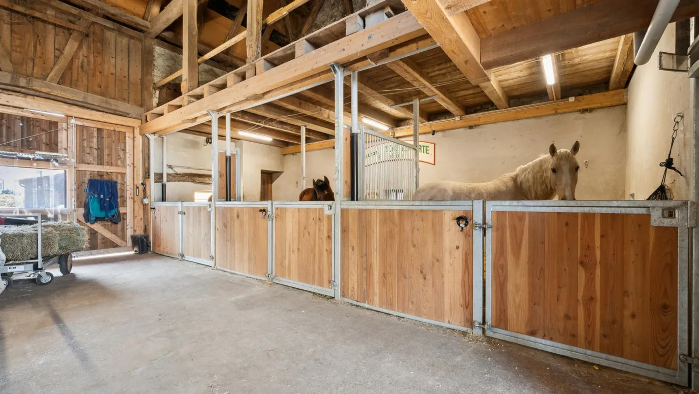 Renovated farmhouse with horse boxes, sand area and pasture - Photo 13 of 15