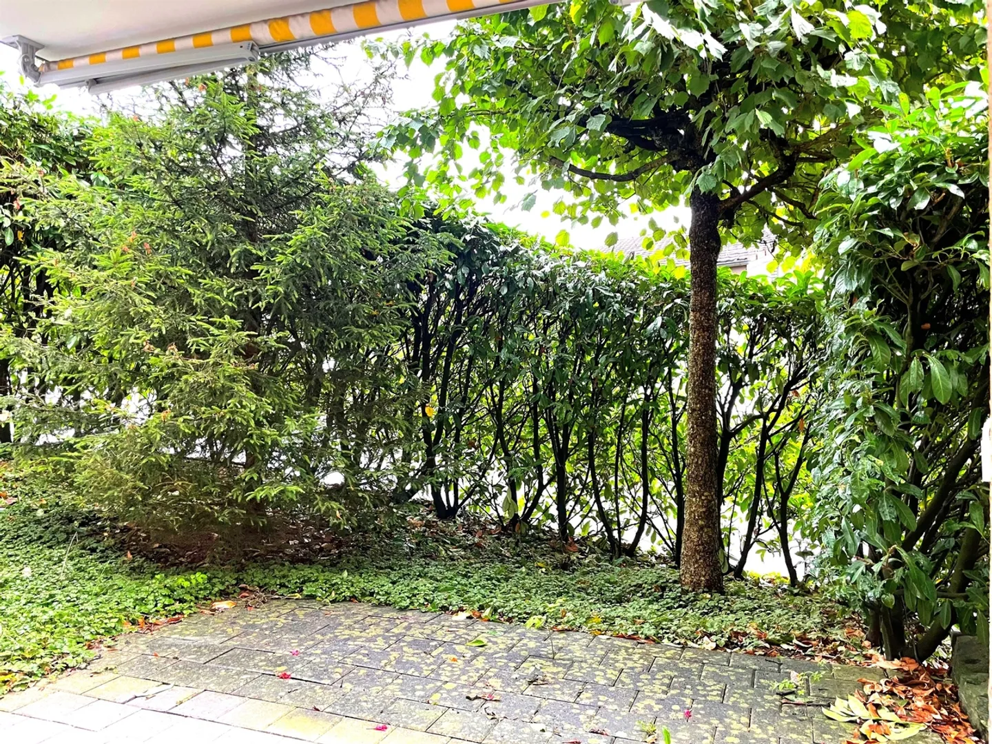Zentrales Wohnen in Horgen! - Photo 10 of 10