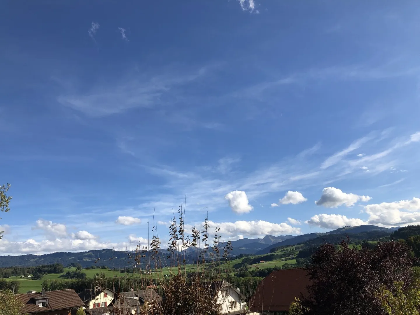 Beautiful 4.5 Room Apartment in Alterswil - Photo 9 of 10