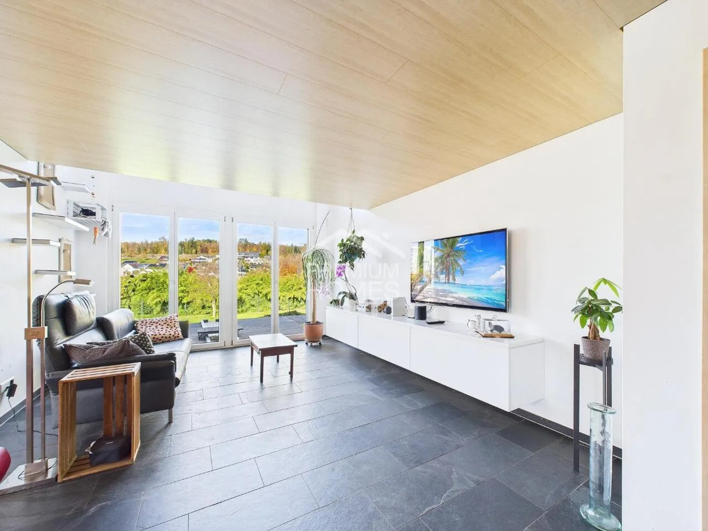 AMOUR AU PREMIER REGARD - Photo 2 sur 9