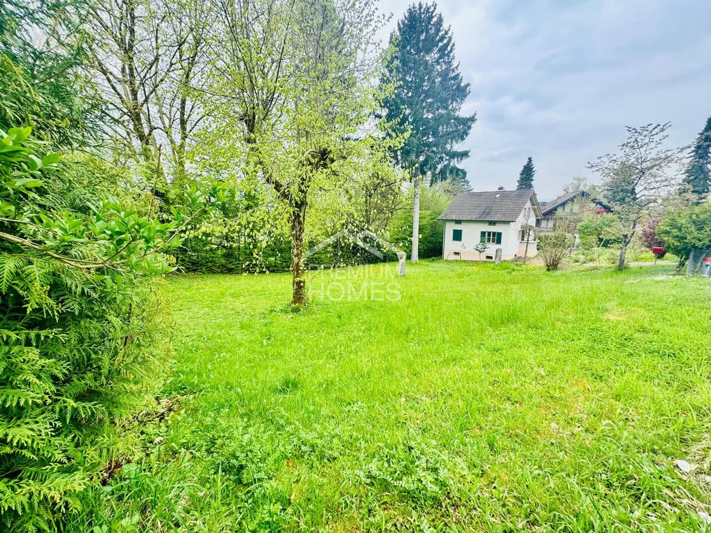 Geräumiges Baugrundstück Angebot - Foto 2 von 7