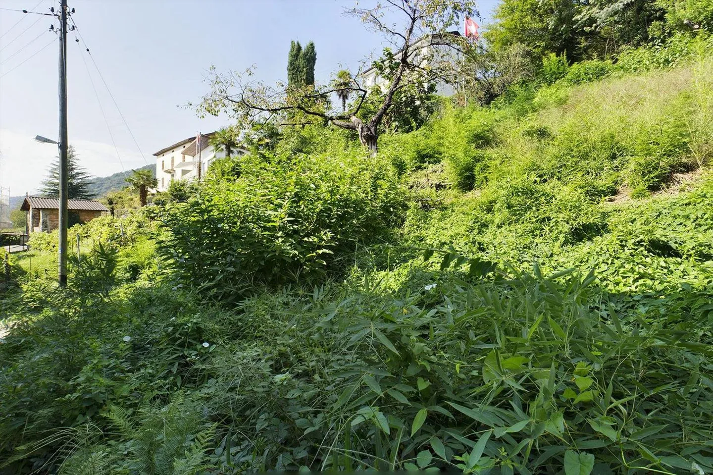 Terreno edificabile ideale per chi cerca tranquillità | Sessa VN 119001001-1907 - Foto 4 di 5