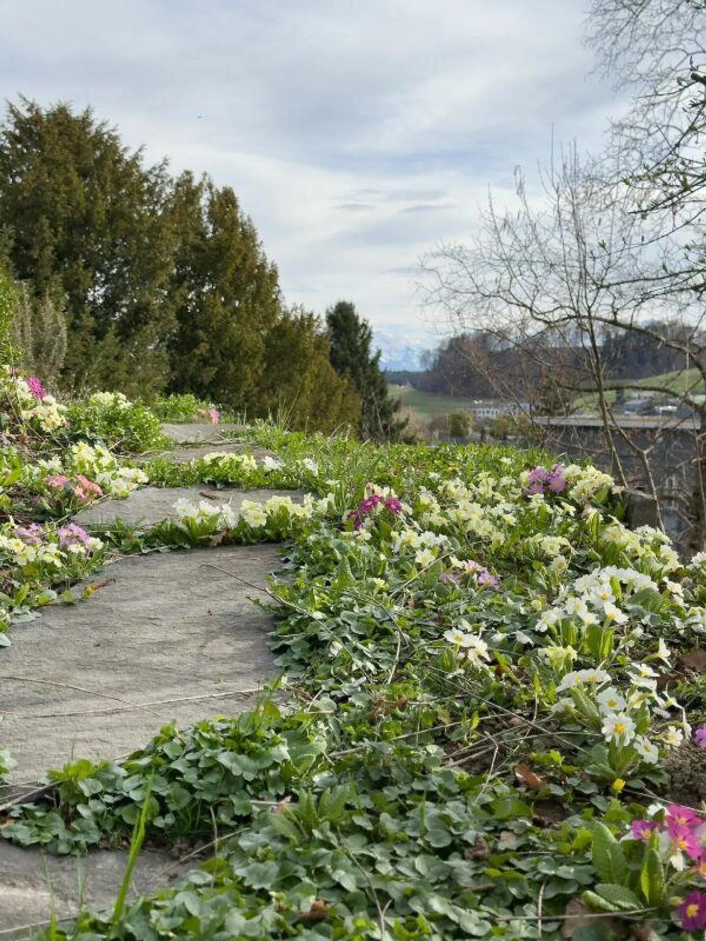 Detached house with granny flat in a wonderful panoramic location in Worb - Photo 23 of 24