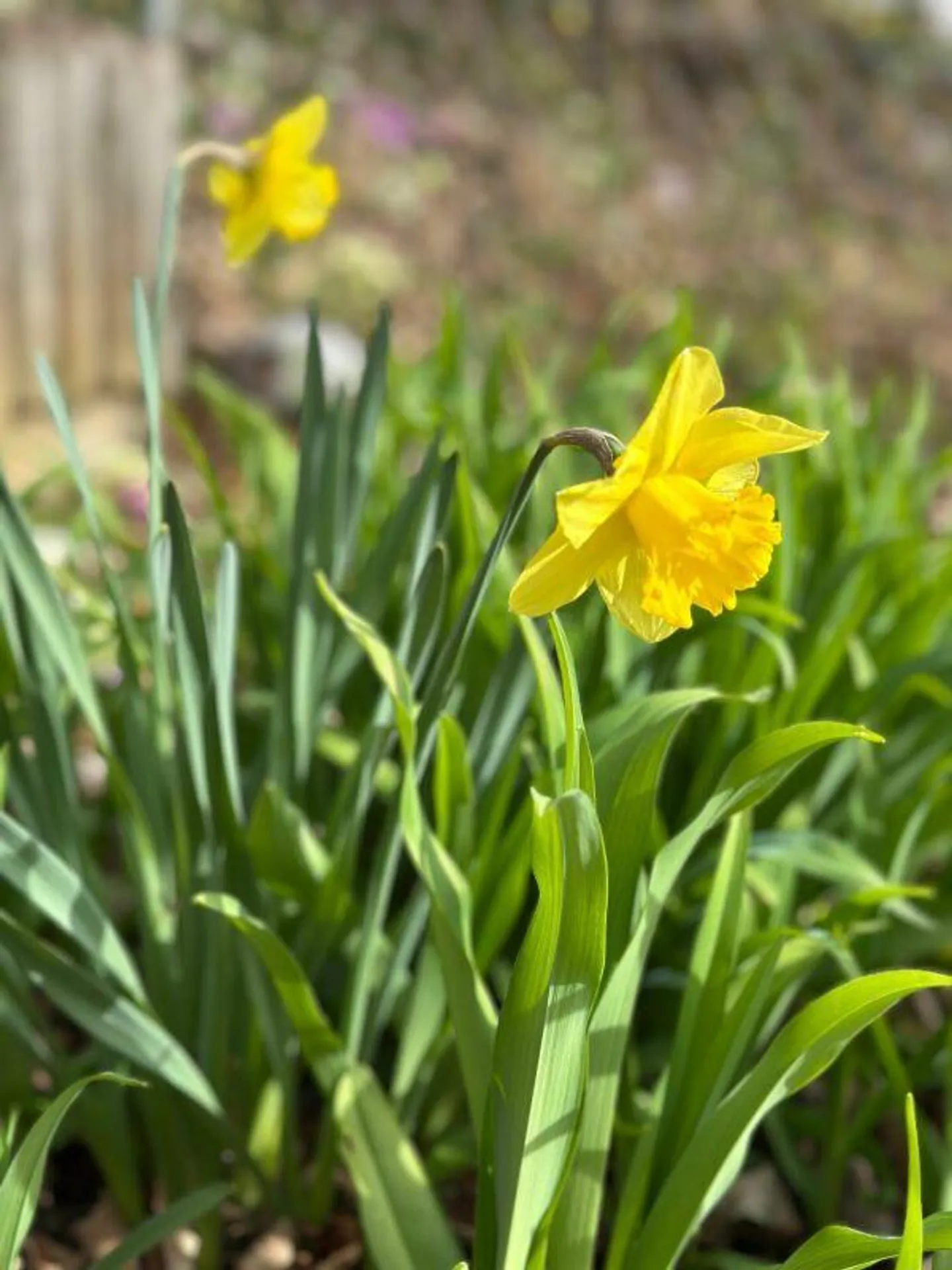 Detached house with granny flat in a wonderful panoramic location in Worb - Photo 24 of 24