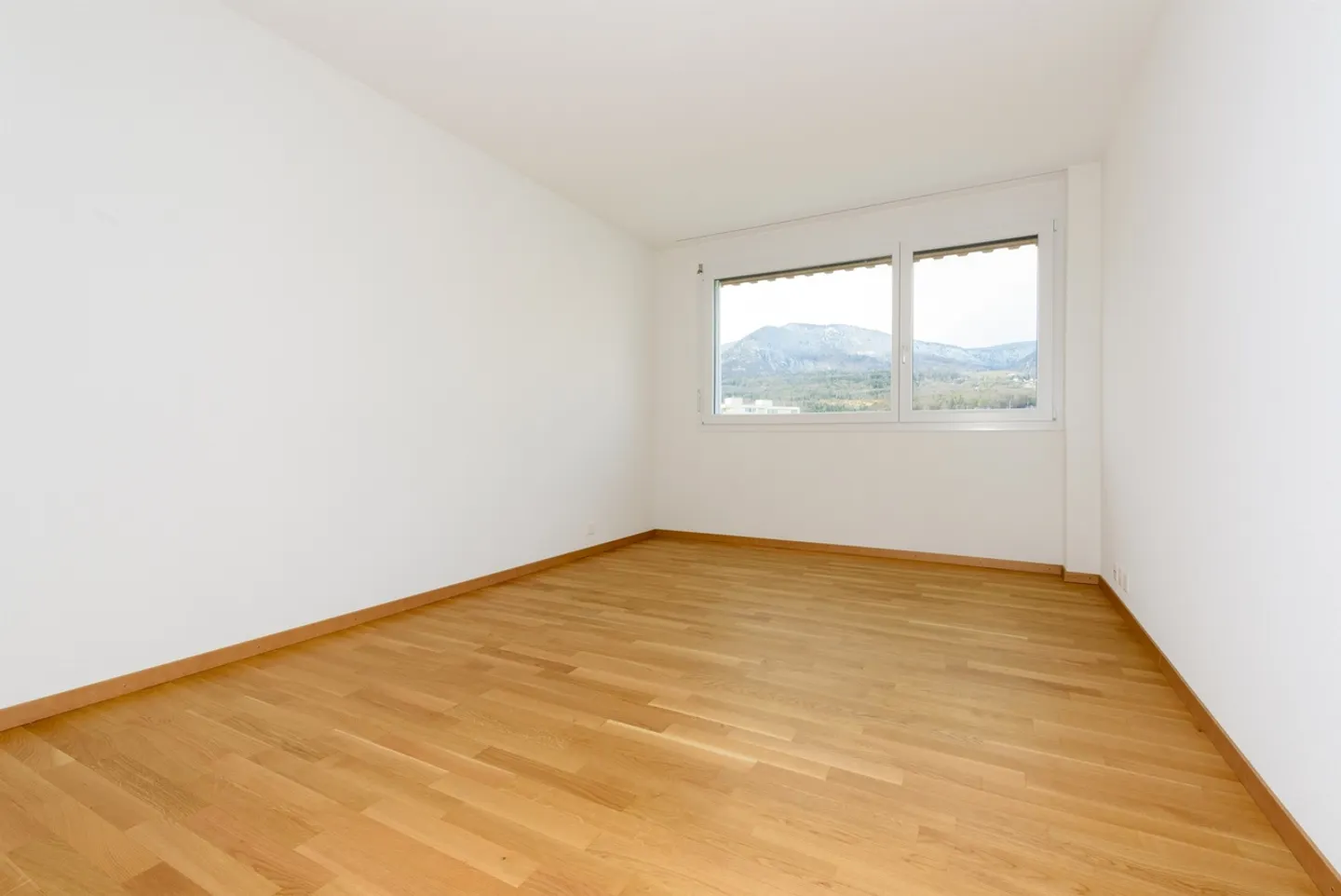 Modern, spacious and well-located apartment! - Photo 4 of 9