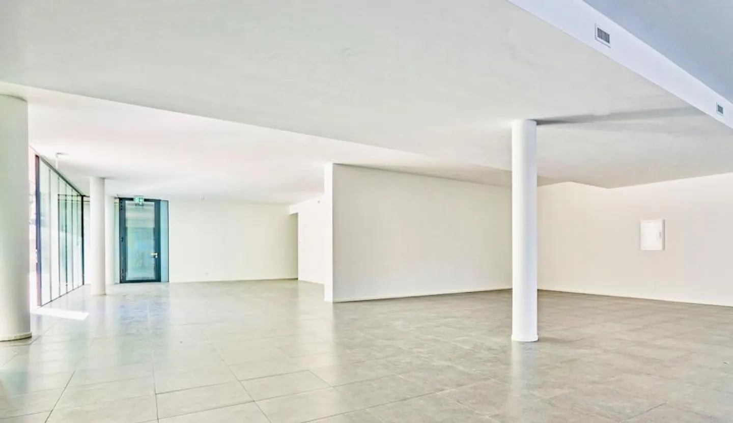 Large commercial space recently built in Paradiso - Photo 3 of 8