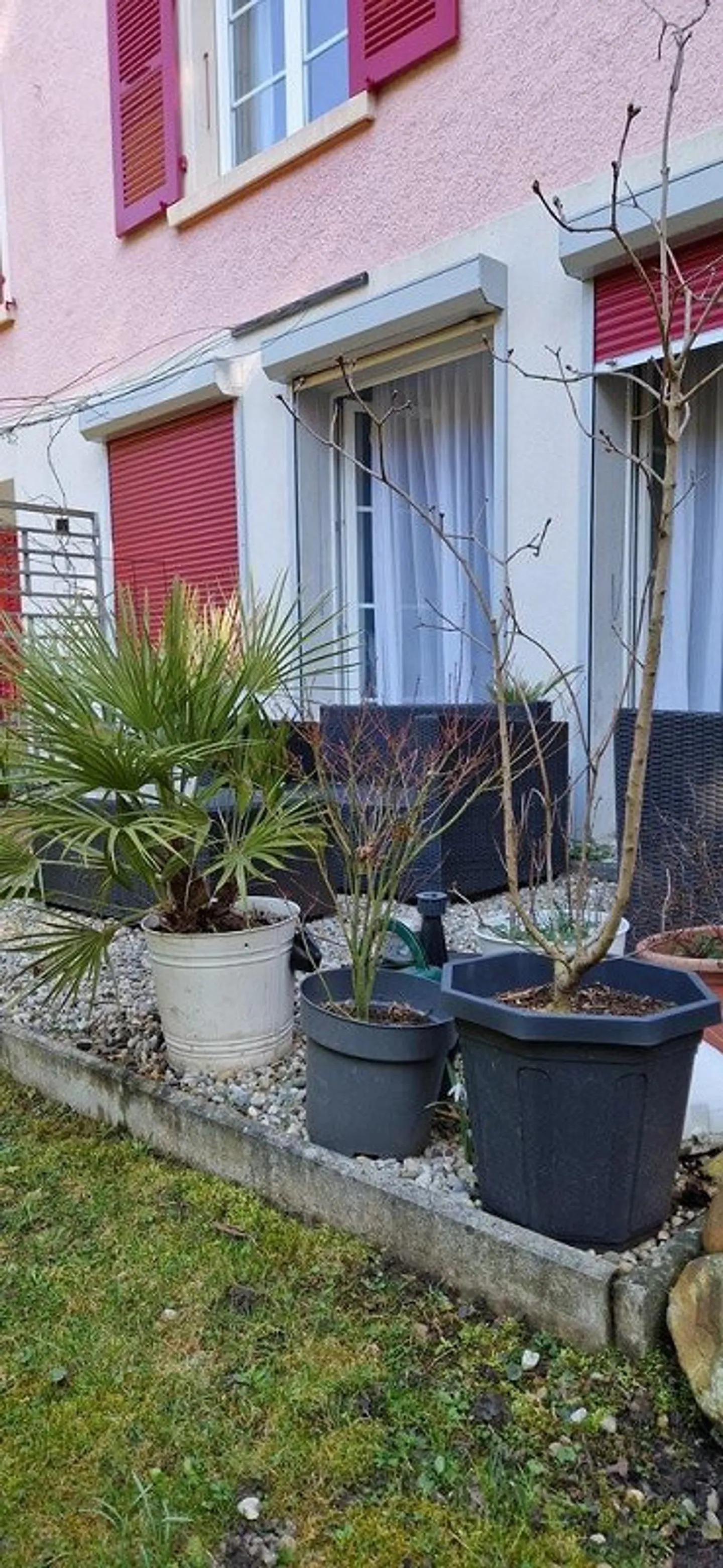 La tua nuova casa in Lorena! - Foto 9 di 10