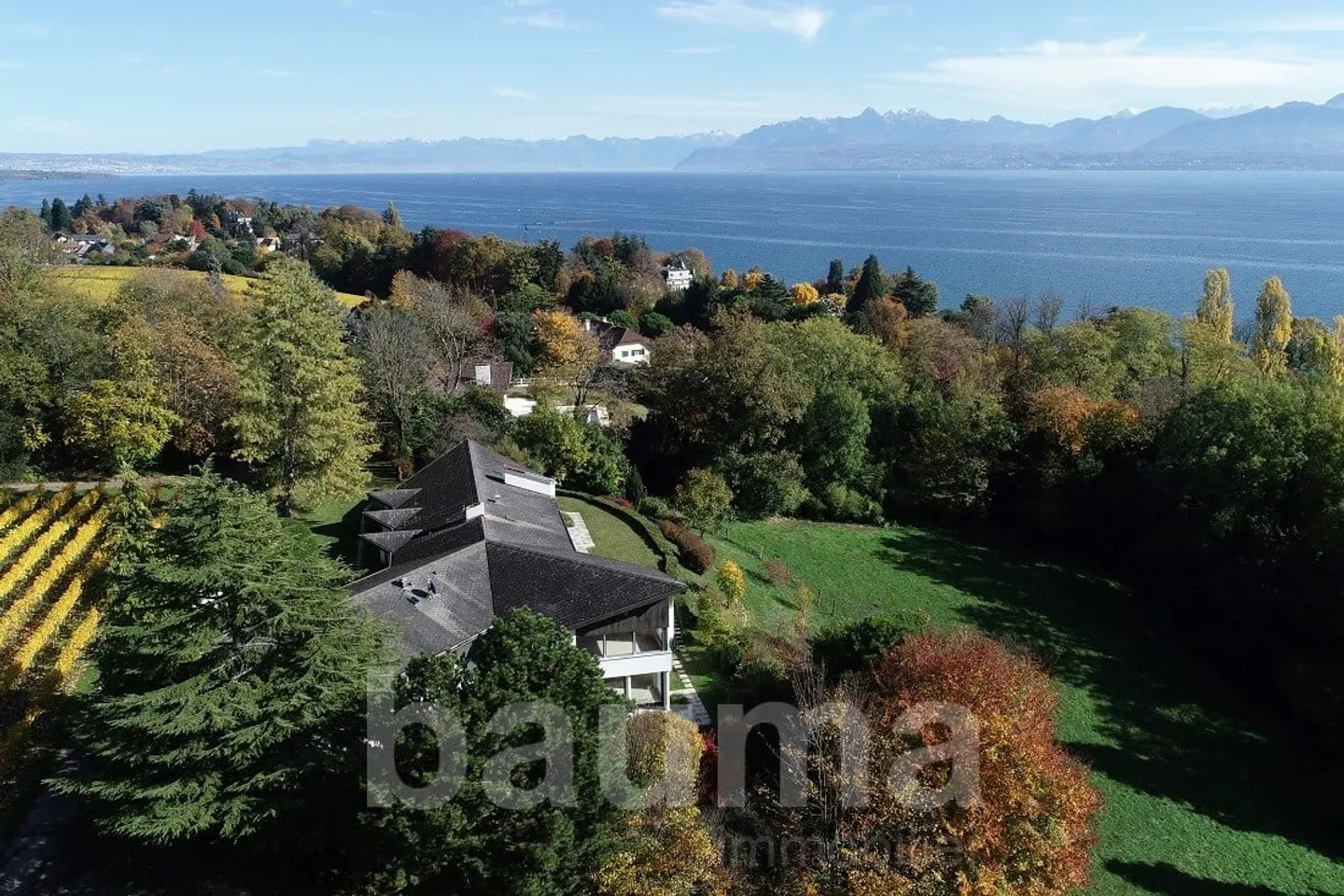 Über ein Hektar Land / ebenerdiges Haus - Foto 3 von 13