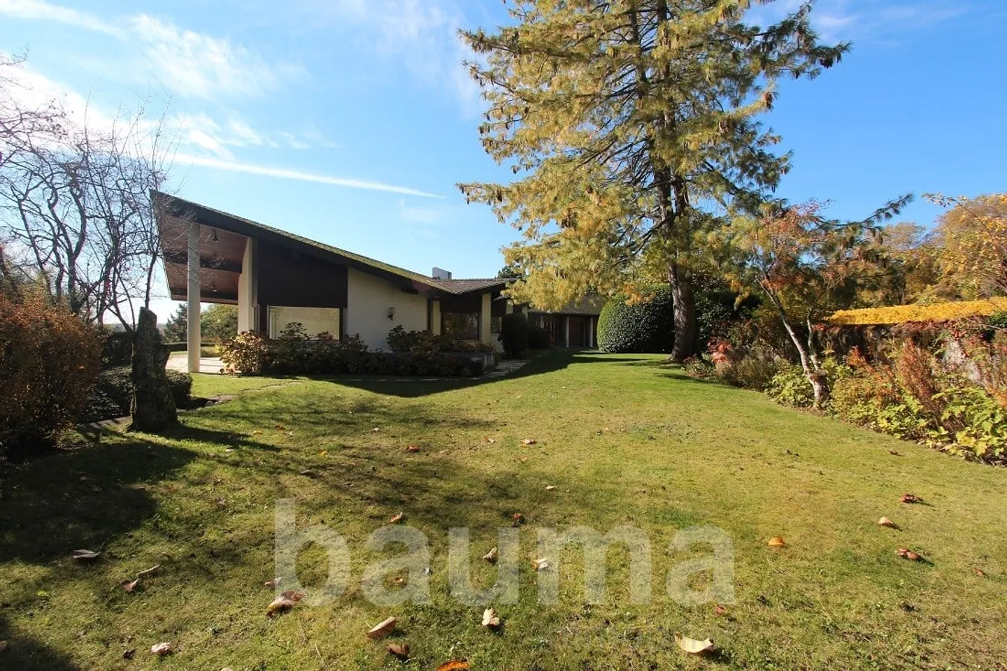 Über ein Hektar Land / ebenerdiges Haus - Foto 11 von 13