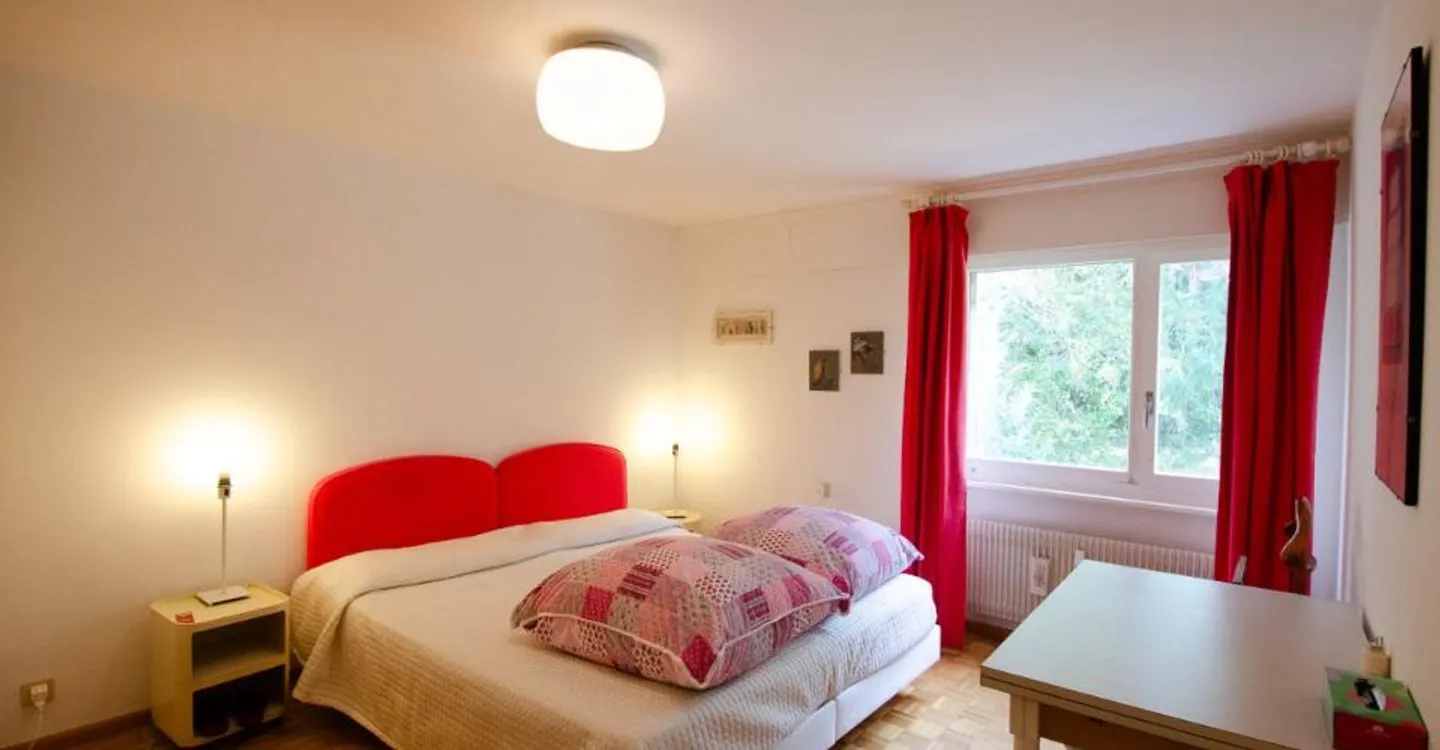 Spacious Apartment in Crans-Montana - Photo 10 of 10