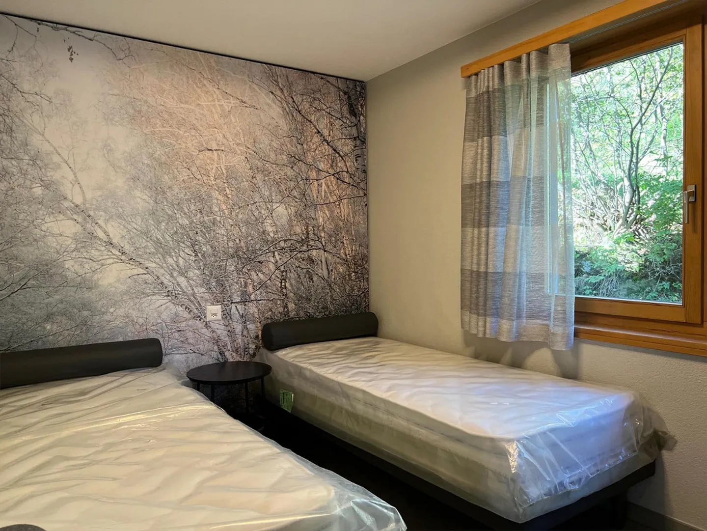 Bellissimo appartamento ristrutturato di 3,5 locali nel cuore del Goms - Foto 6 di 10