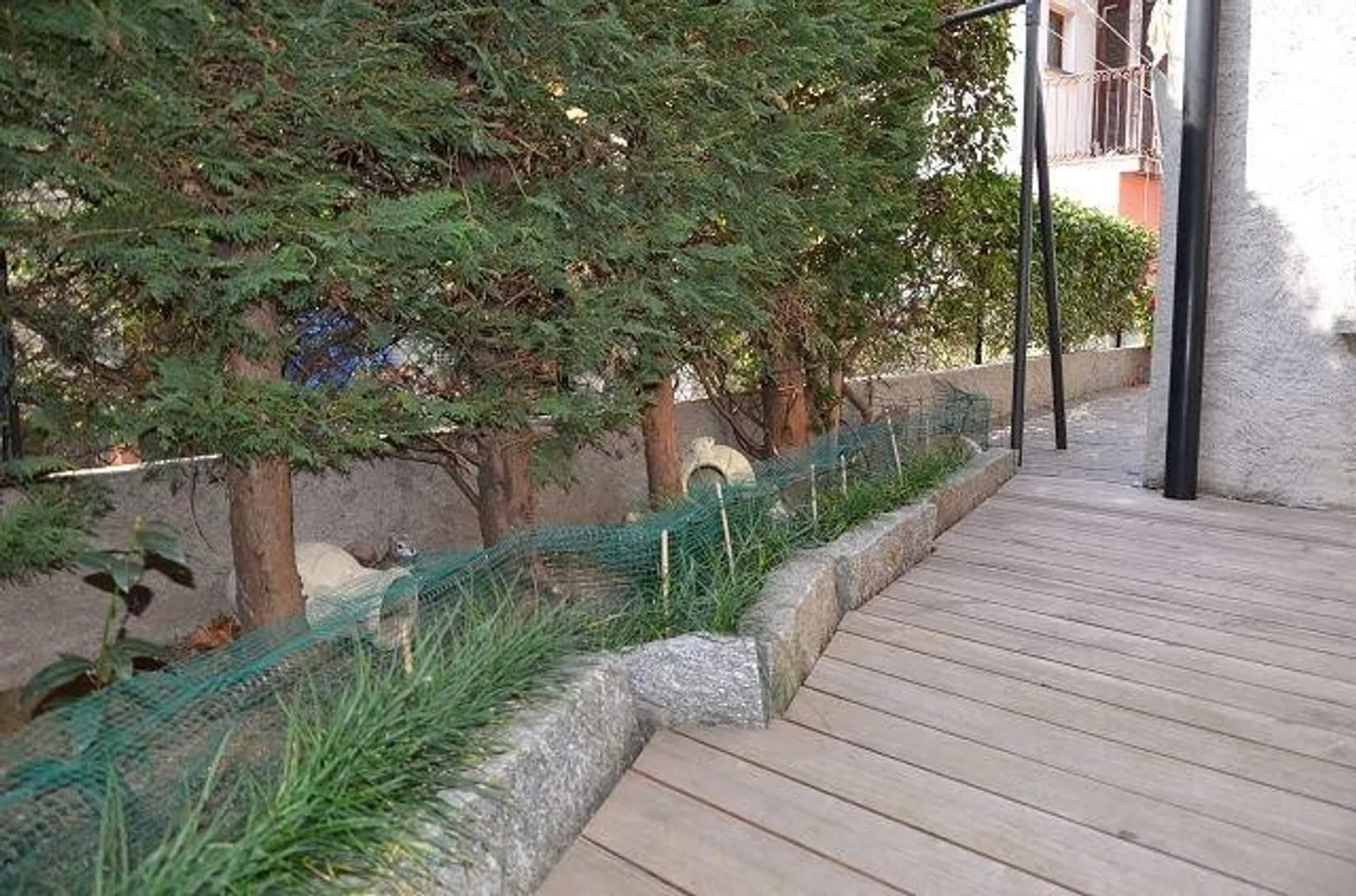 Casa singola in affitto - Foto 6 di 13
