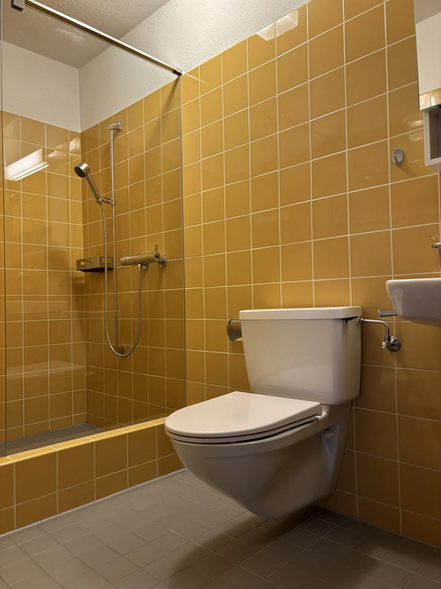 Bonheur familial avec idylle de jardin - maison individuelle de 5,5 pièces à Windisch - Photo 9 sur 18