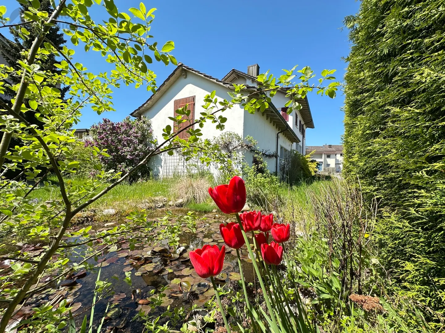 Una casa, tre opportunità - Vivere, affittare, realizzare! - Foto 1 di 14