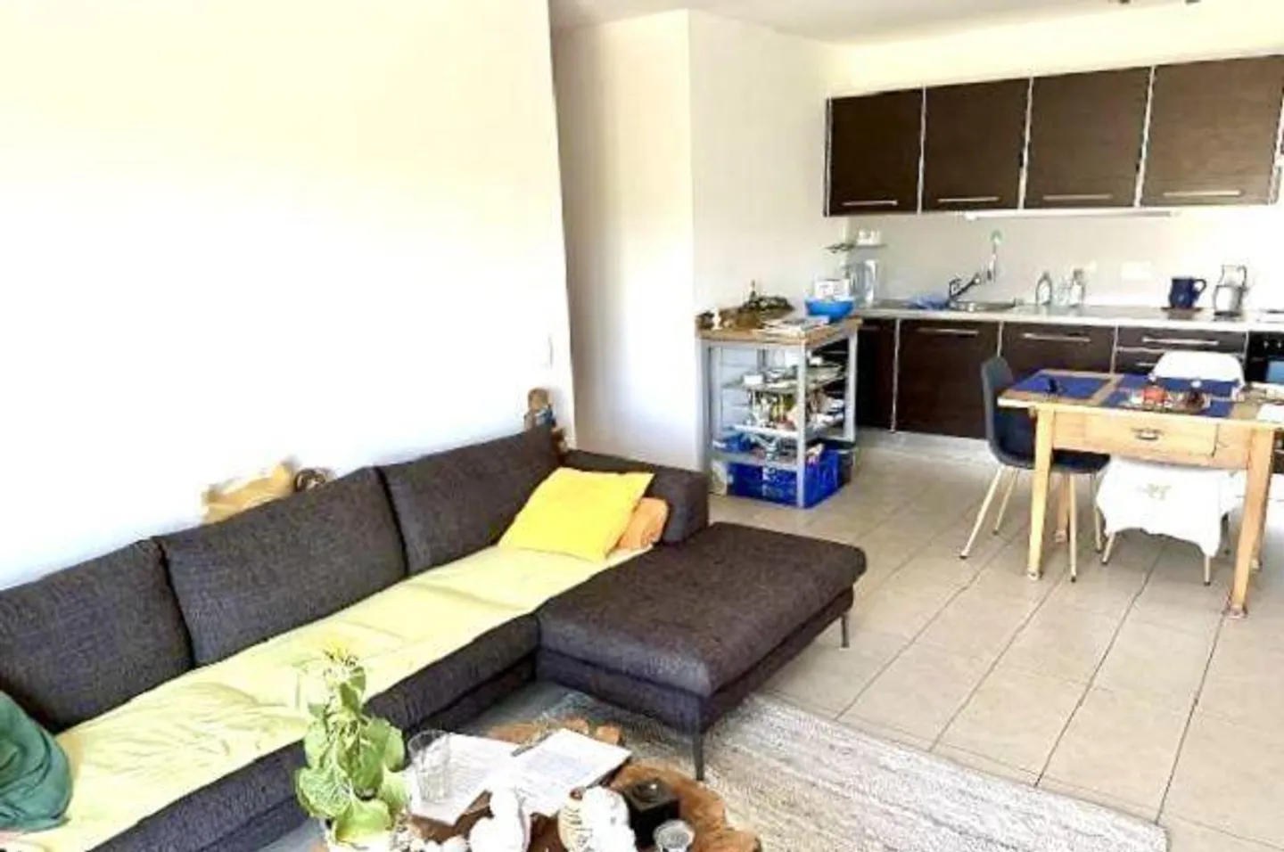 Appartement 3 1/2 au rez-de-chaussée avec terrasse et prairie fleurie avec vue sur le lac - Photo 6 sur 23