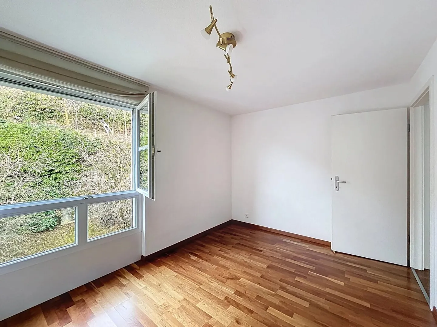 Magnificent view of the lake and absolute serenity in Clarens - Photo 8 of 12