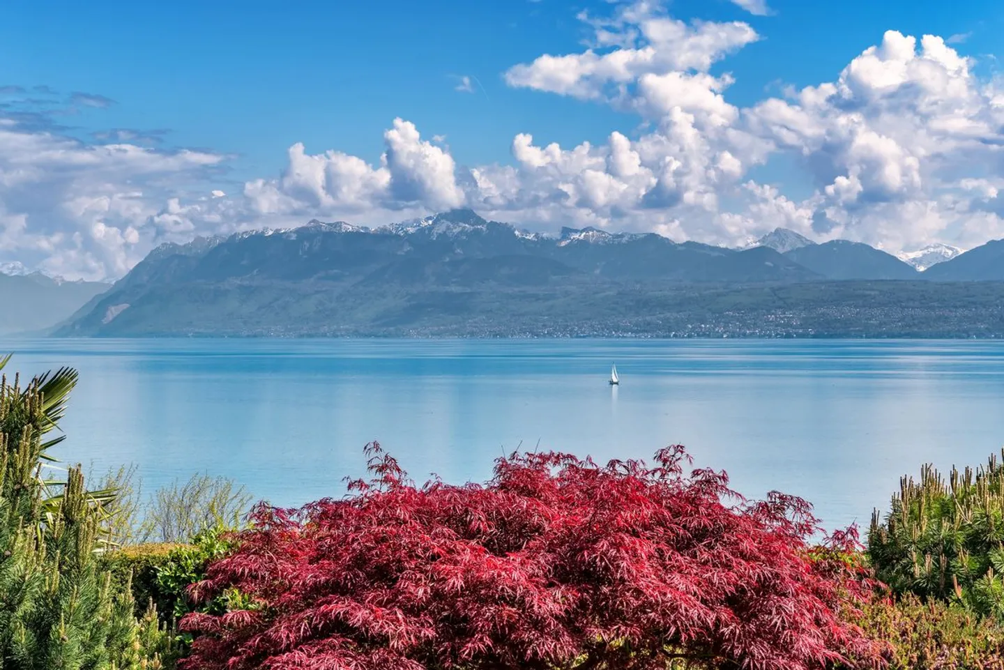 Villa au bord du lac à Saint-Prex - Photo 1 sur 1