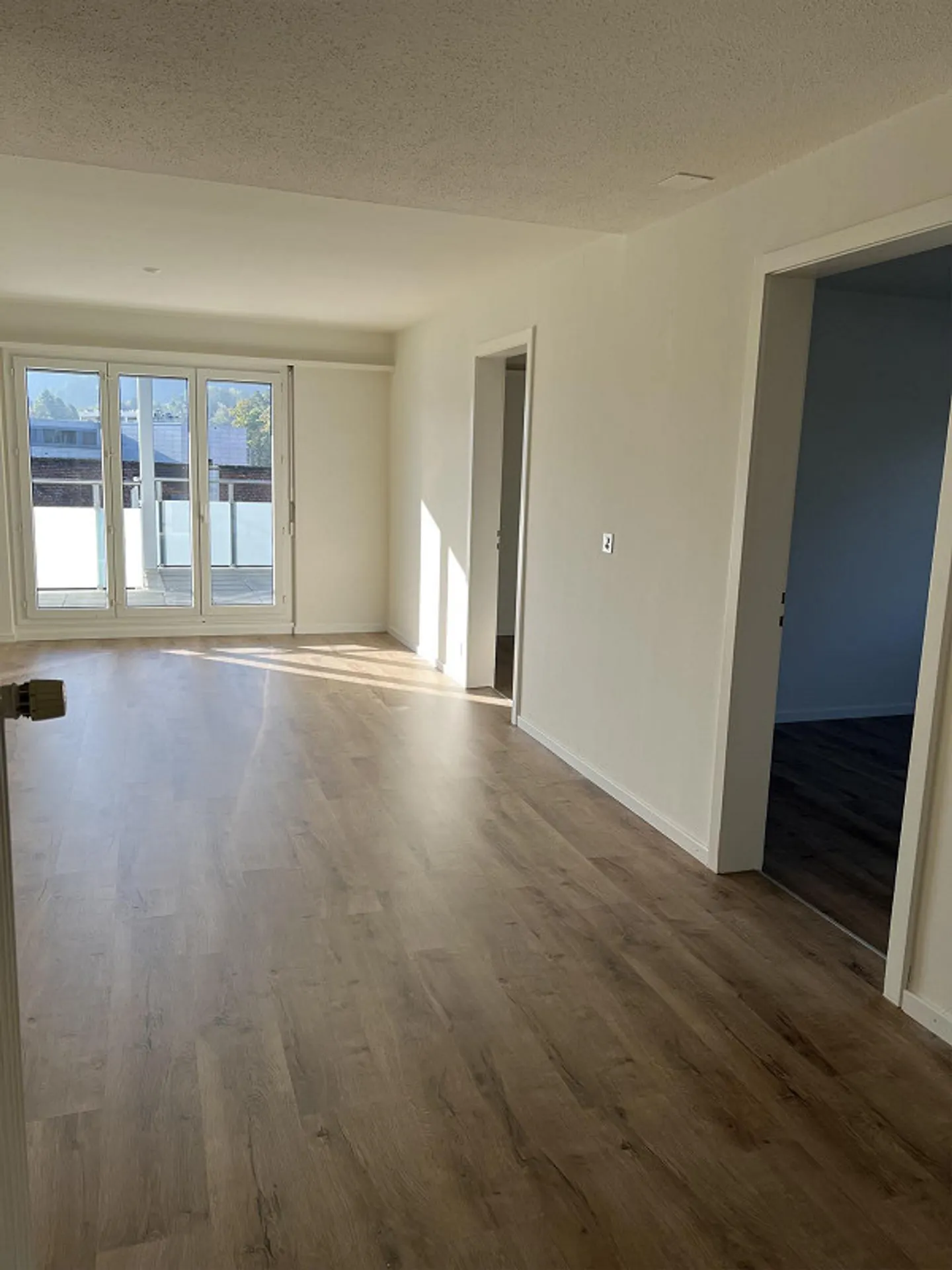 Appartement Attique 4 1/2 pièces au centre de Goldau - Photo 2 sur 6