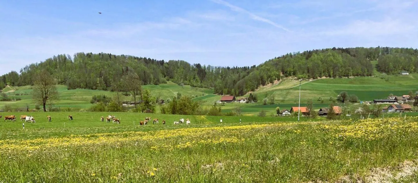 Vivere in modo naturale e tranquillo con una vista spettacolare - Foto 12 di 12