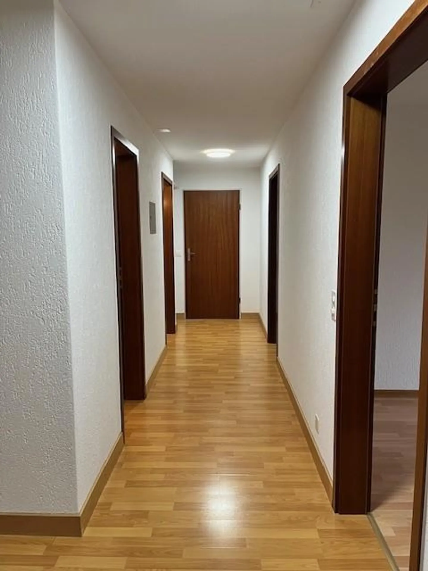 Schöne, helle 4-Zimmer-Parterrewohnung in Frutigen - Photo 4 sur 10
