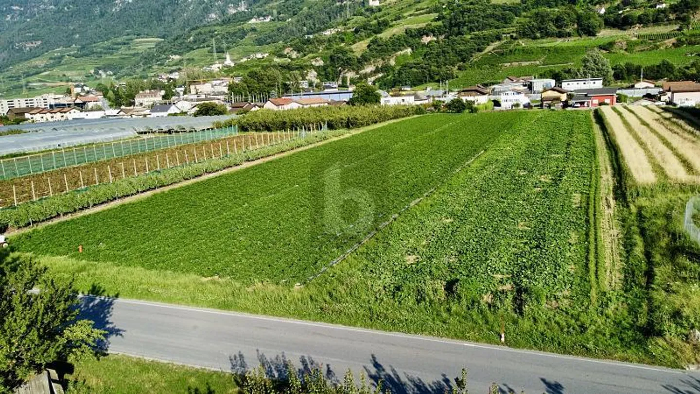 Terreno industriale da sviluppare - Foto 1 di 3