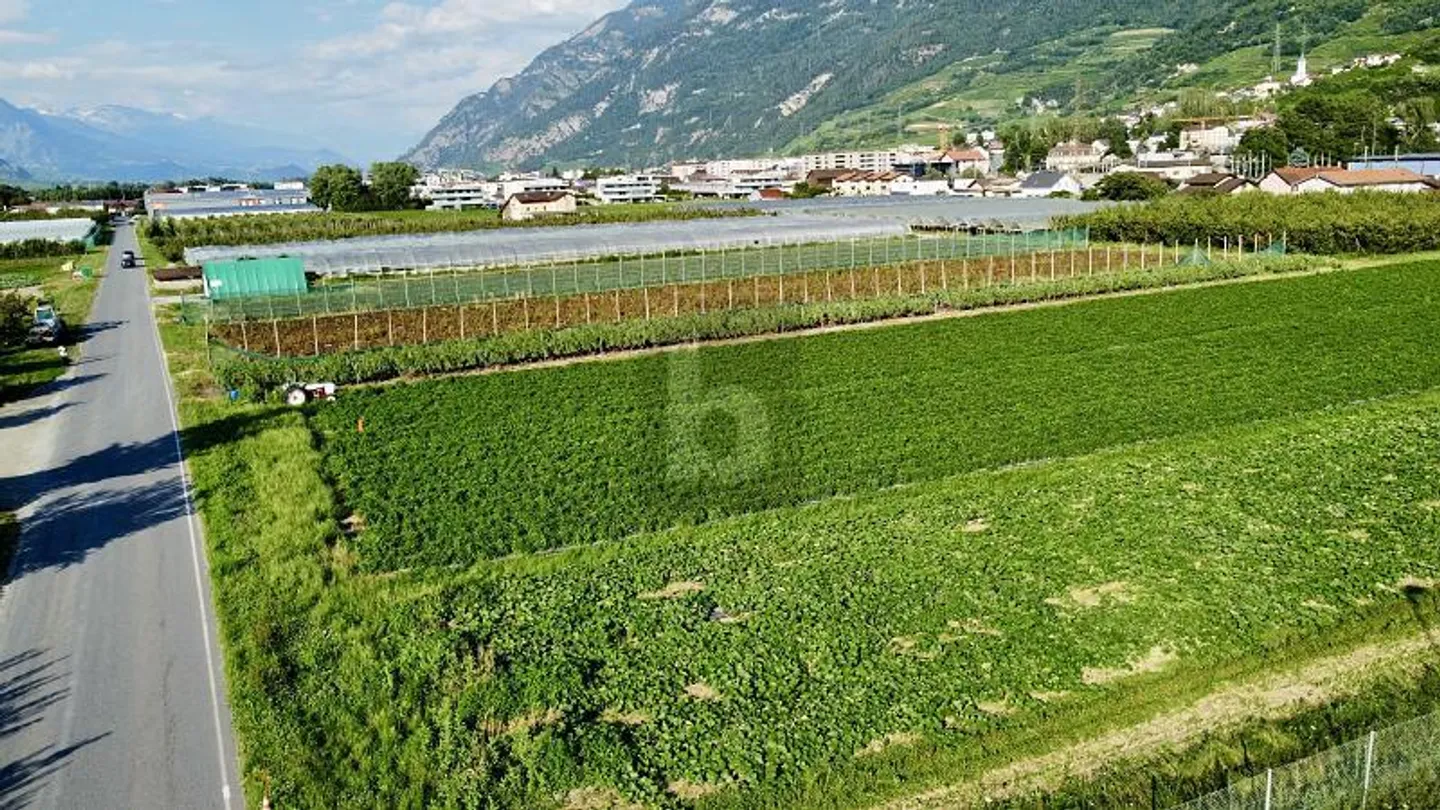 Terreno industriale da sviluppare - Foto 2 di 3