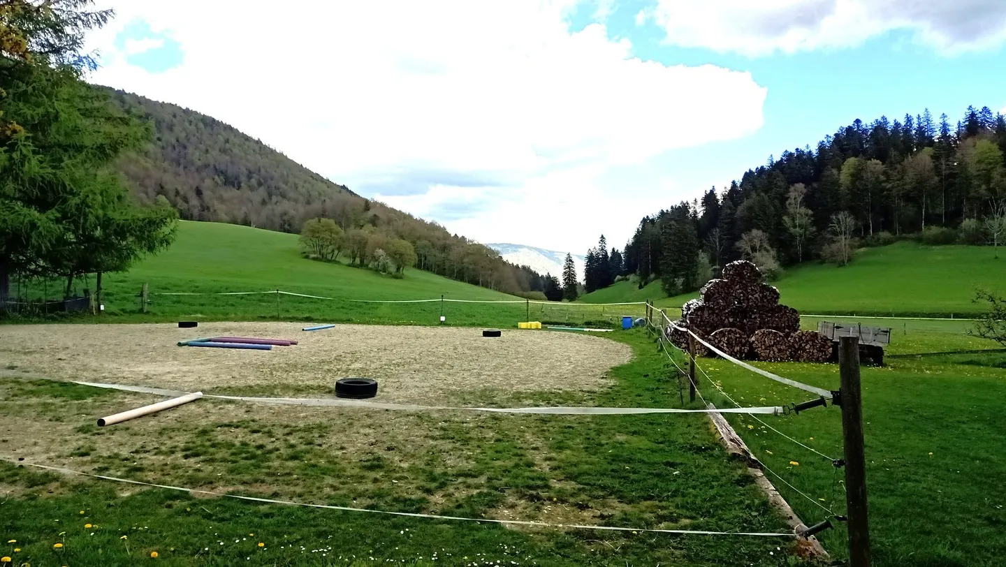 Belle ferme avec deux appartements de 300 m2 et 220 m2 de grange et de paddock - Photo 6 sur 42