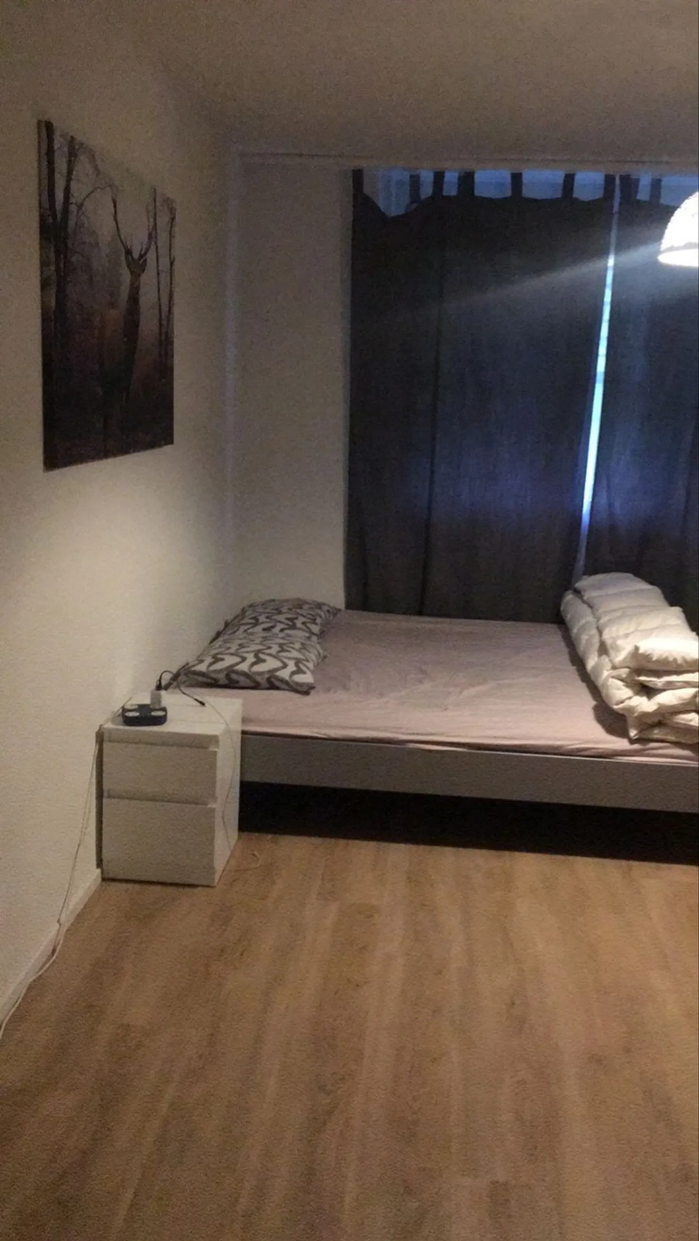 Two-room apartment with 2.5 rooms in Zurich Schwamendingen - Photo 5 of 13