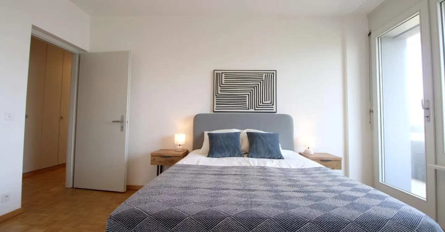 Coliving spacieux avec connexions internationales à Le Grand-Saconnex - Photo 4 sur 20