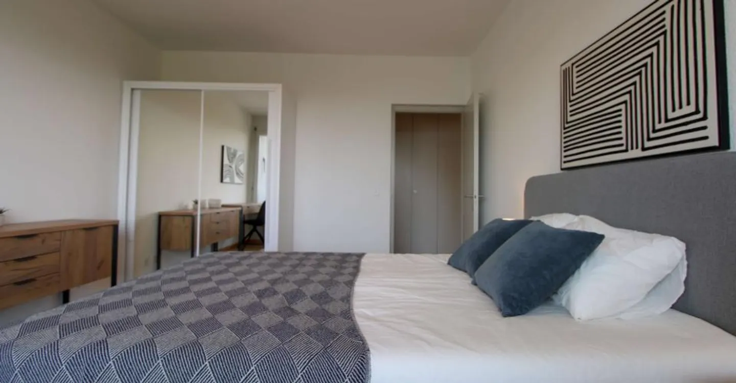 Coliving spacieux avec connexions internationales à Le Grand-Saconnex - Photo 5 sur 20