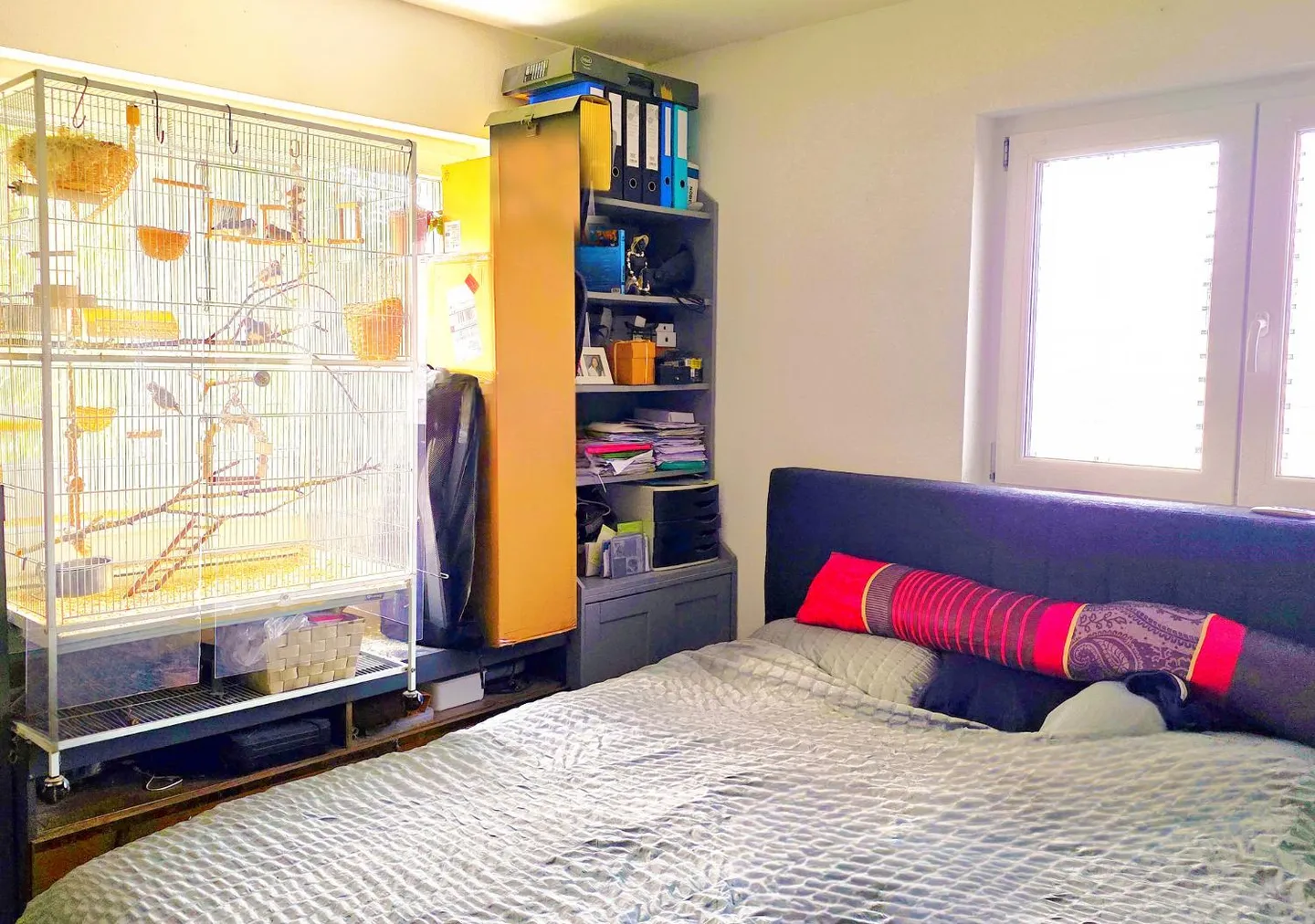 Rennaz (VD) - Appartamento 4,5 locali - Grande giardino - Tranquillo - Foto 4 di 7