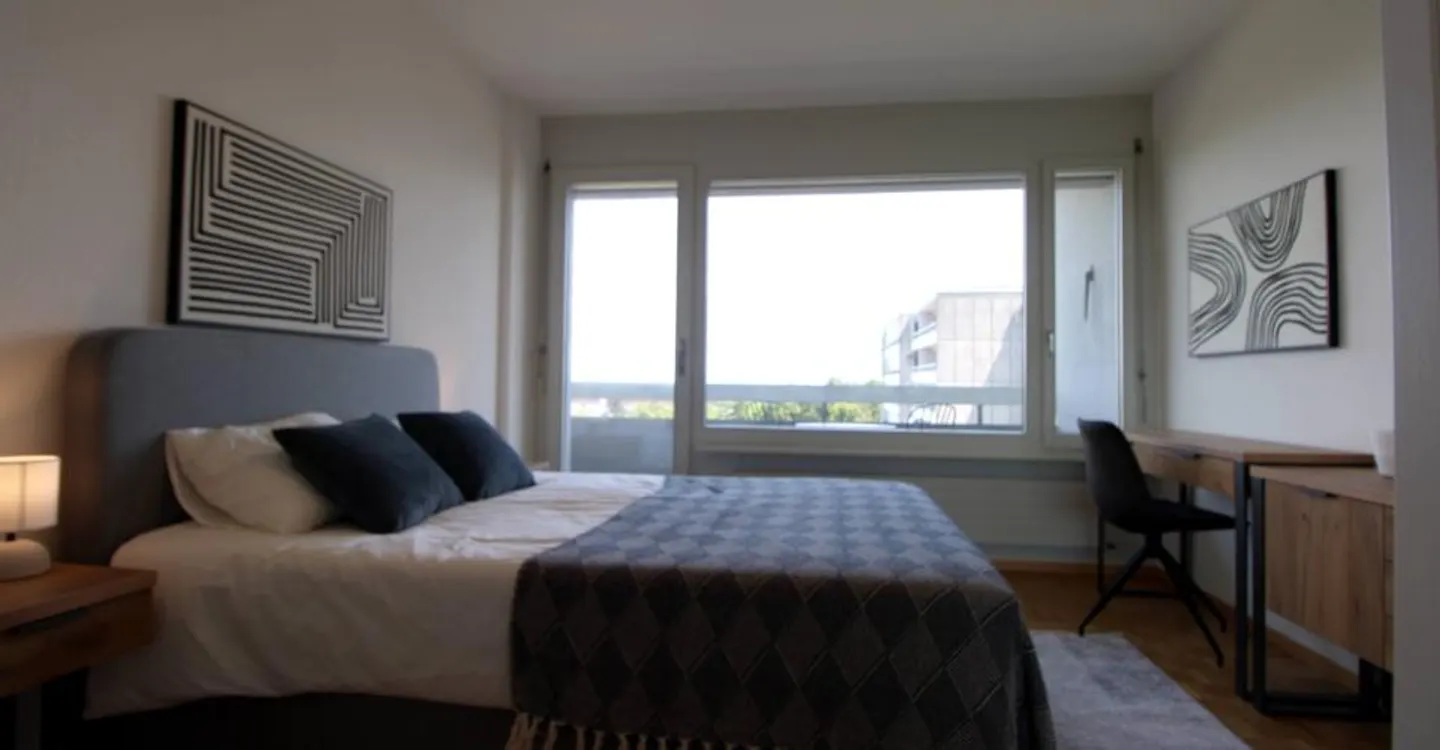 Coliving spacieux avec connexions internationales à Le Grand-Saconnex - Photo 6 sur 20