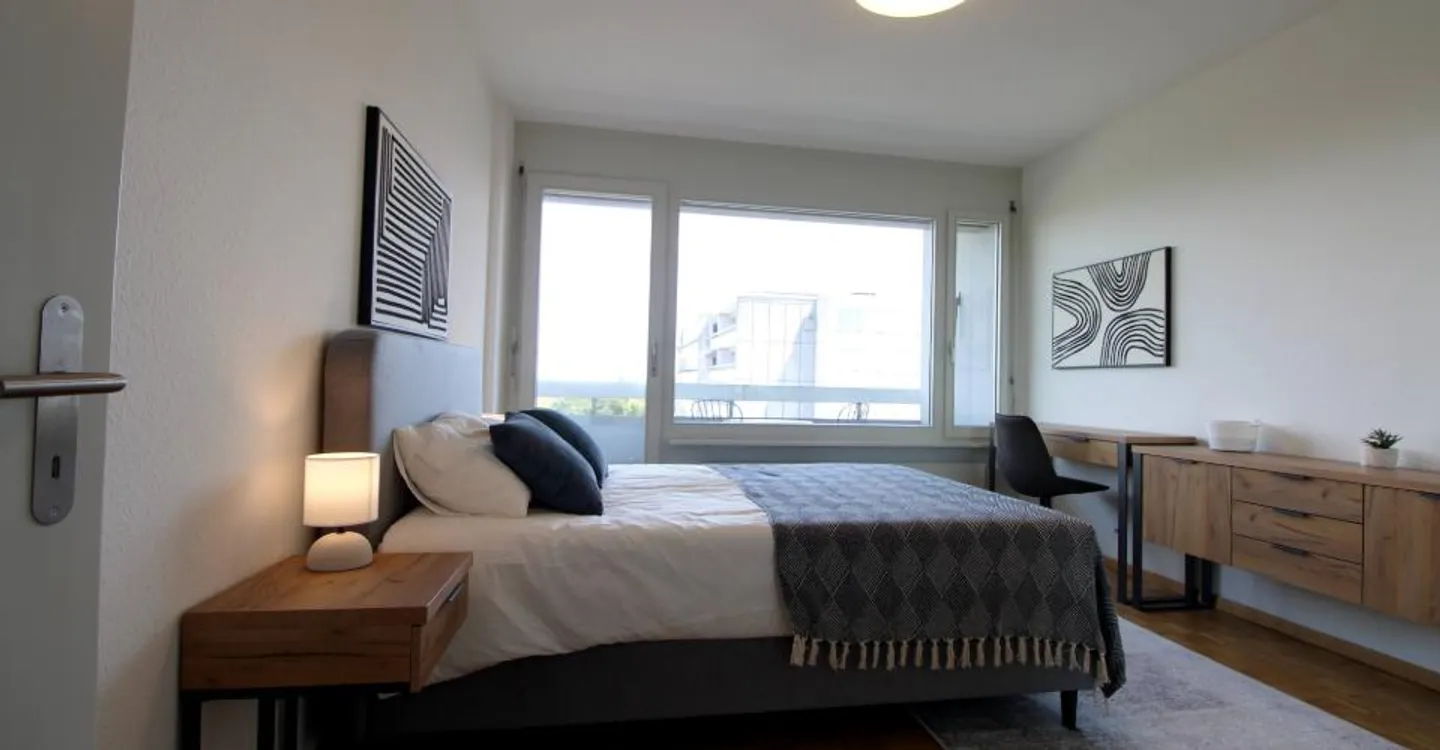 Coliving spacieux avec connexions internationales à Le Grand-Saconnex - Photo 3 sur 20