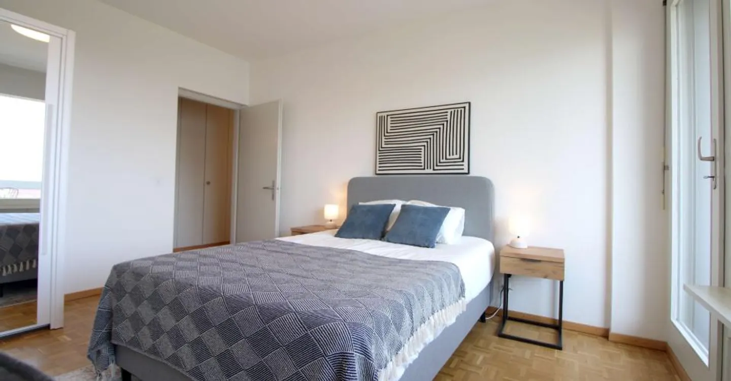 Coliving spacieux avec connexions internationales à Le Grand-Saconnex - Photo 7 sur 20