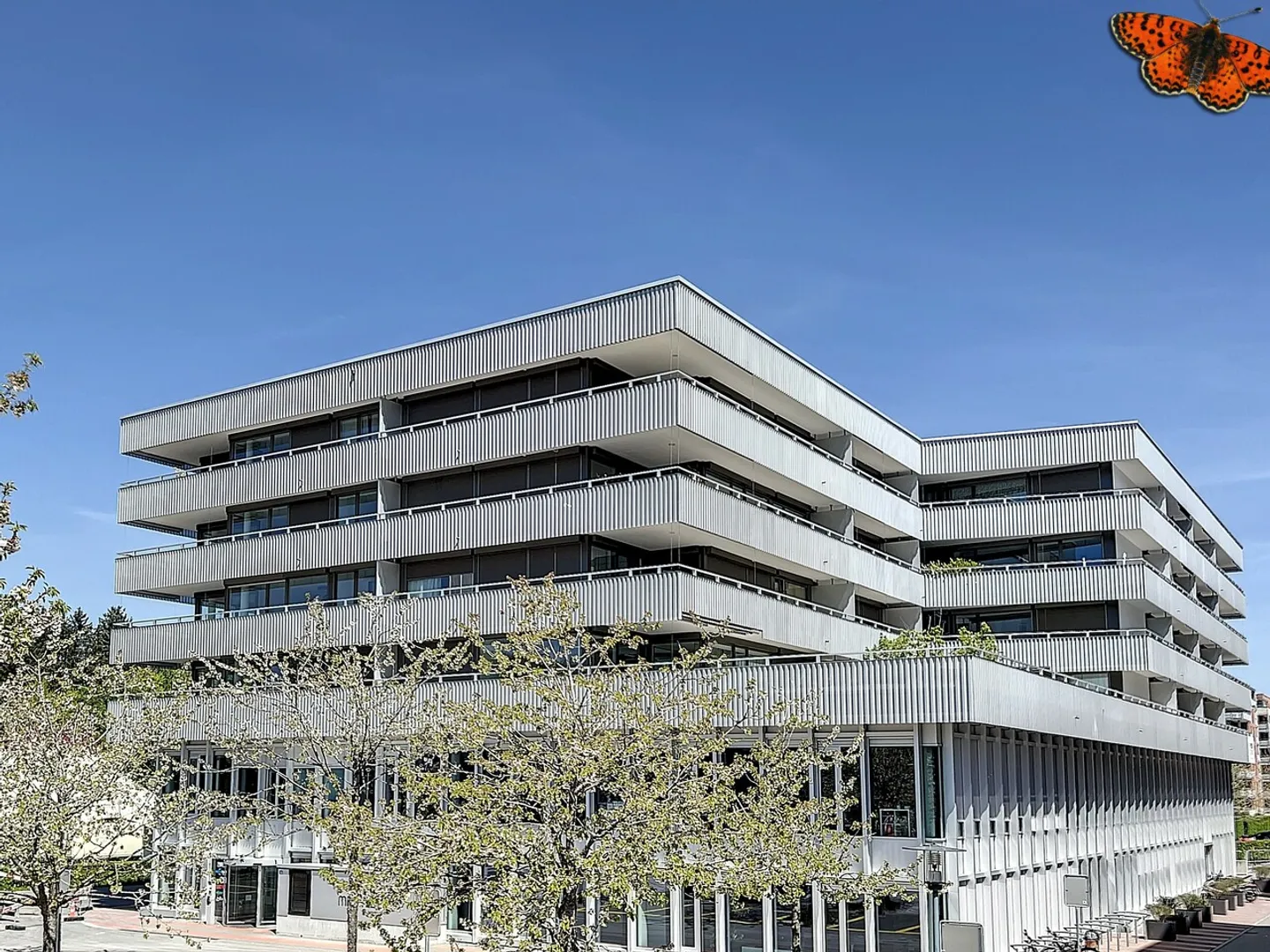 Appartement moderne avec balcon - Photo 1 sur 9