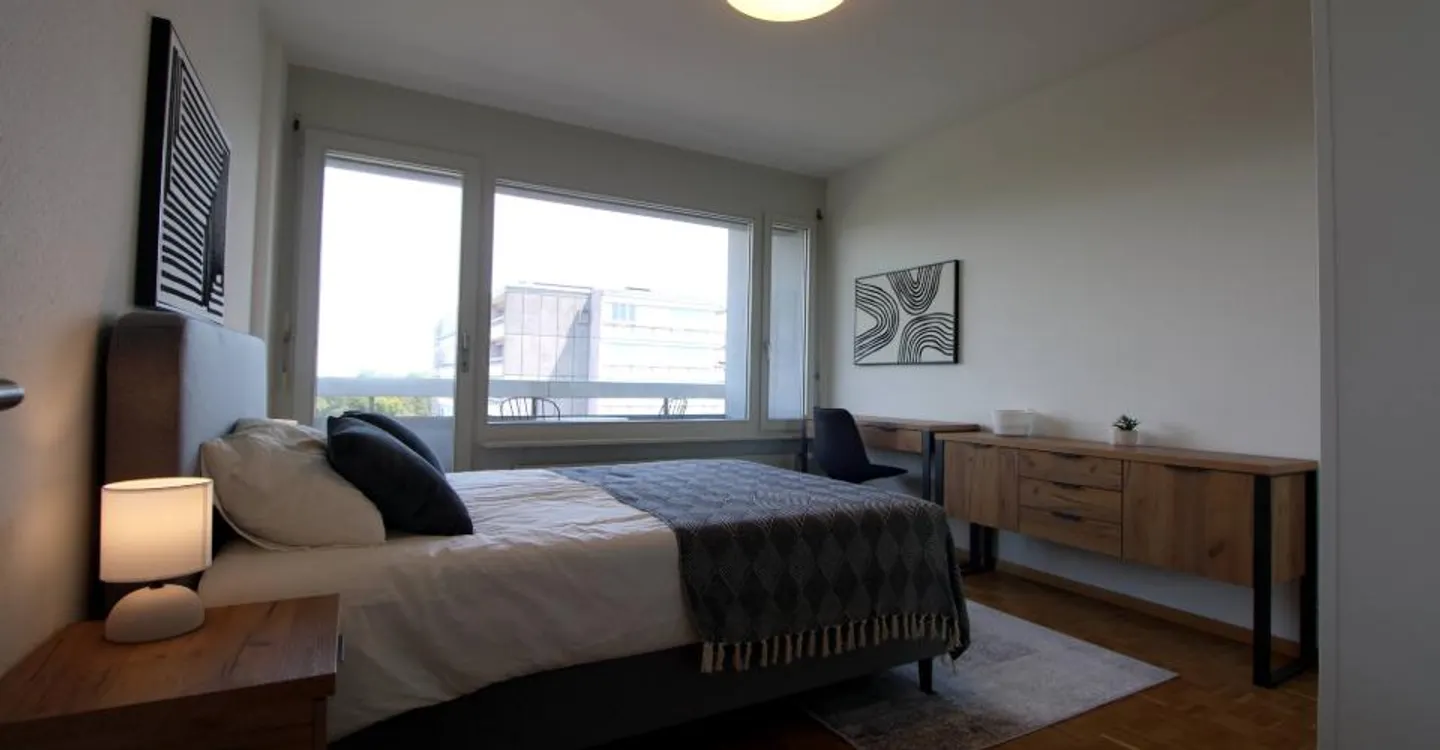 Coliving spacieux avec connexions internationales à Le Grand-Saconnex - Photo 8 sur 20