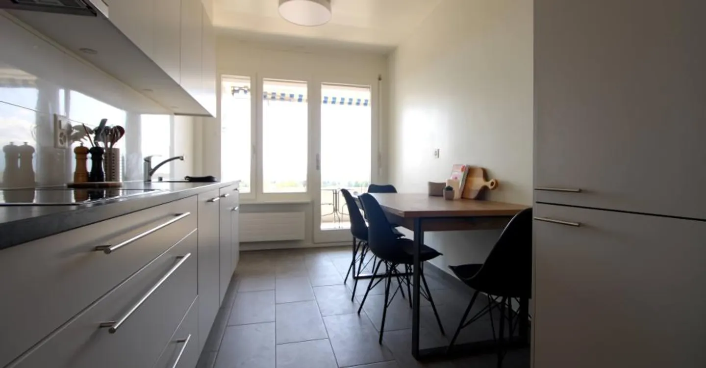 Coliving spacieux avec connexions internationales à Le Grand-Saconnex - Photo 12 sur 20