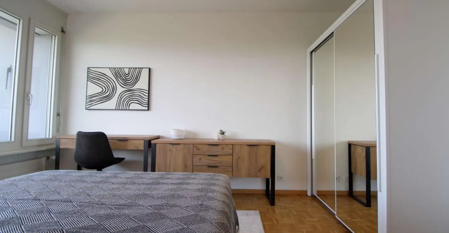 Coliving spacieux avec connexions internationales à Le Grand-Saconnex - Photo 10 sur 20