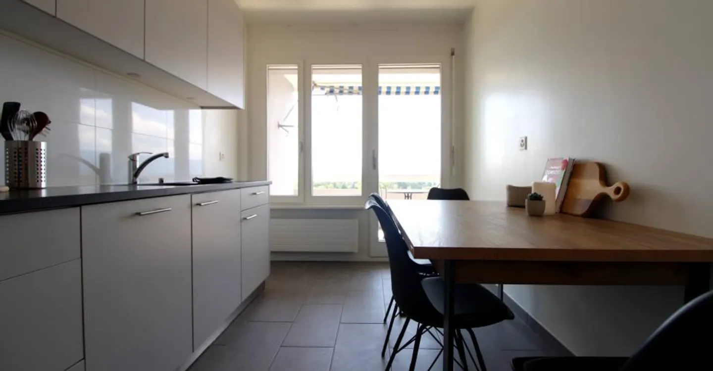 Coliving spacieux avec connexions internationales à Le Grand-Saconnex - Photo 13 sur 20