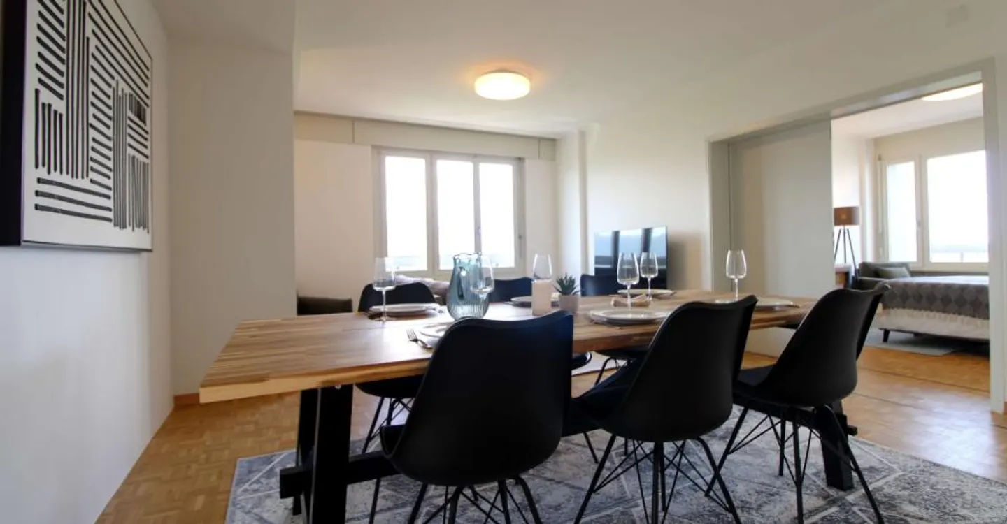 Coliving spacieux avec connexions internationales à Le Grand-Saconnex - Photo 14 sur 20