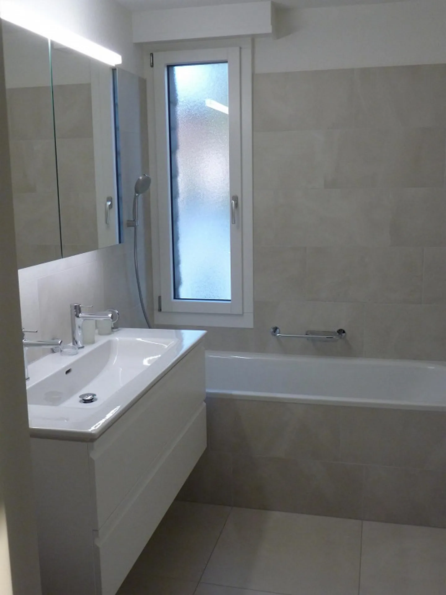 6.5 Room Single Family Home Directly on the Rhine - Photo 6 of 11