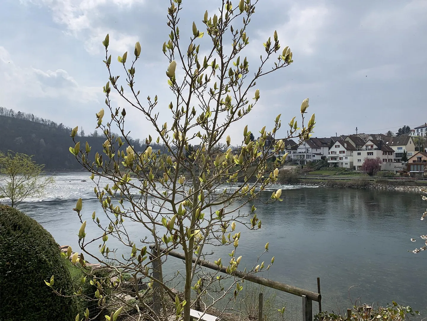 6.5 Room Single Family Home Directly on the Rhine - Photo 3 of 11