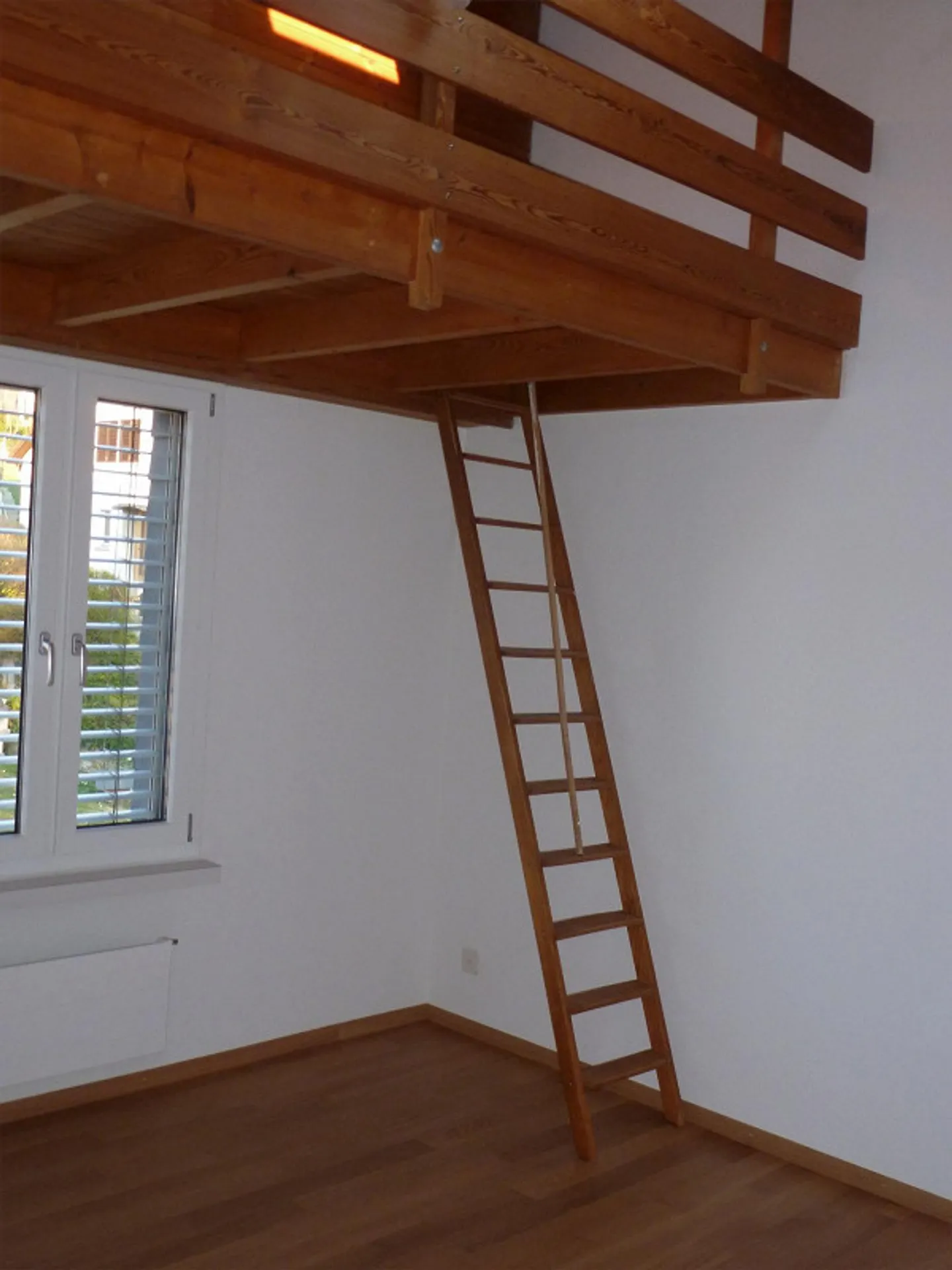 6.5 Room Single Family Home Directly on the Rhine - Photo 8 of 11